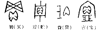 贝甲骨文演变图片