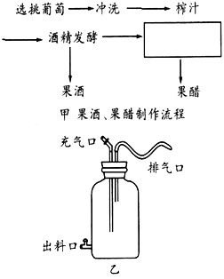 下图为制作果酒,果醋的实验流程,请回答