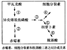 2011111911120470313893.gif