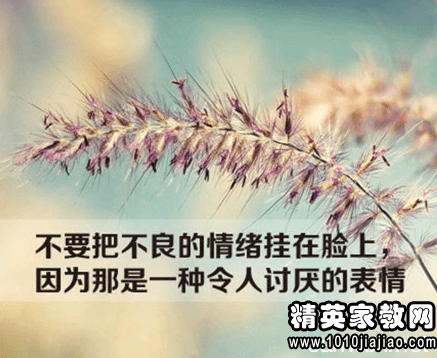 359025_0.png