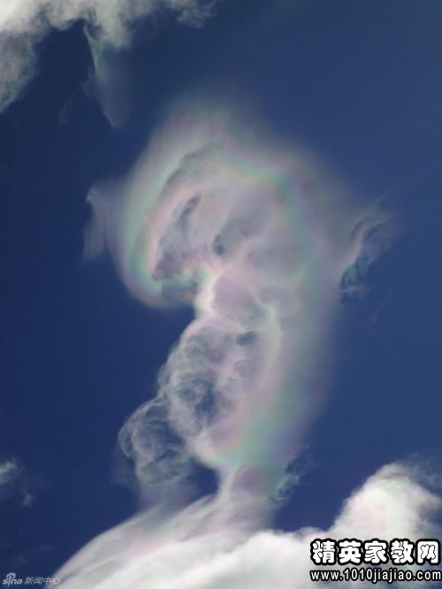 164391_0.jpg