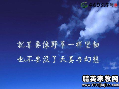 122485_0.jpg