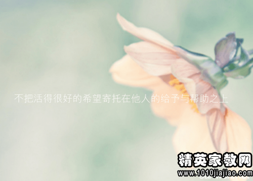 266215_0.png
