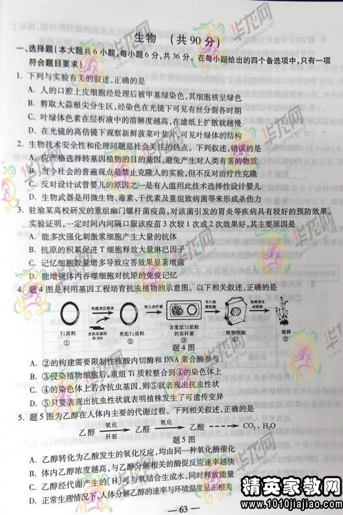 132106_0.jpg