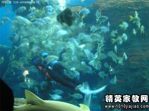 成语什么复产_成语故事简笔画