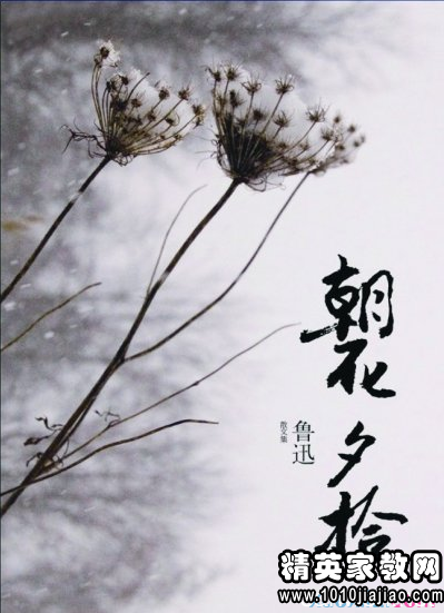 435448_0.png