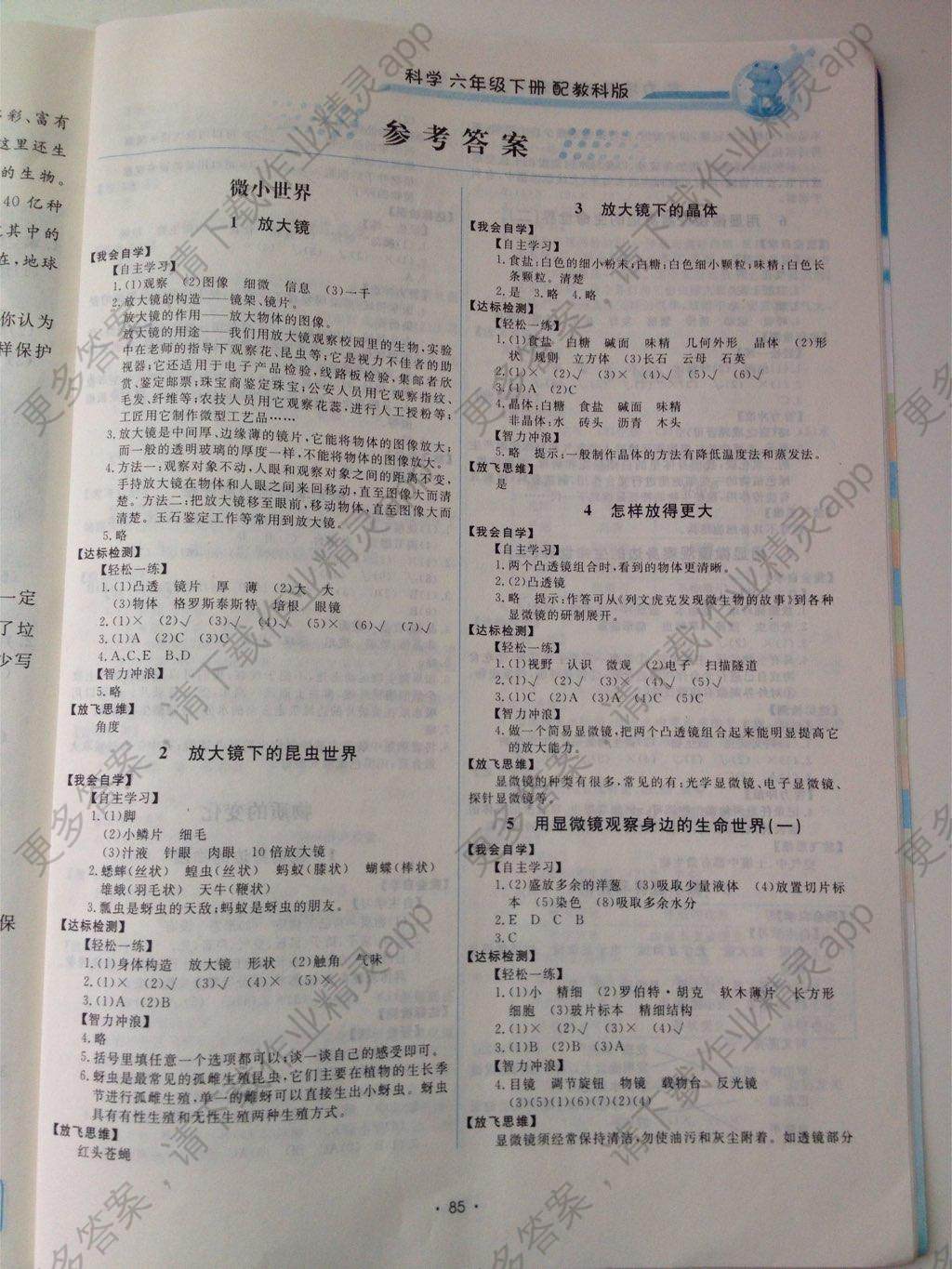 2015年能力培养与测试六年级科学下册教科版答案—精英家教网