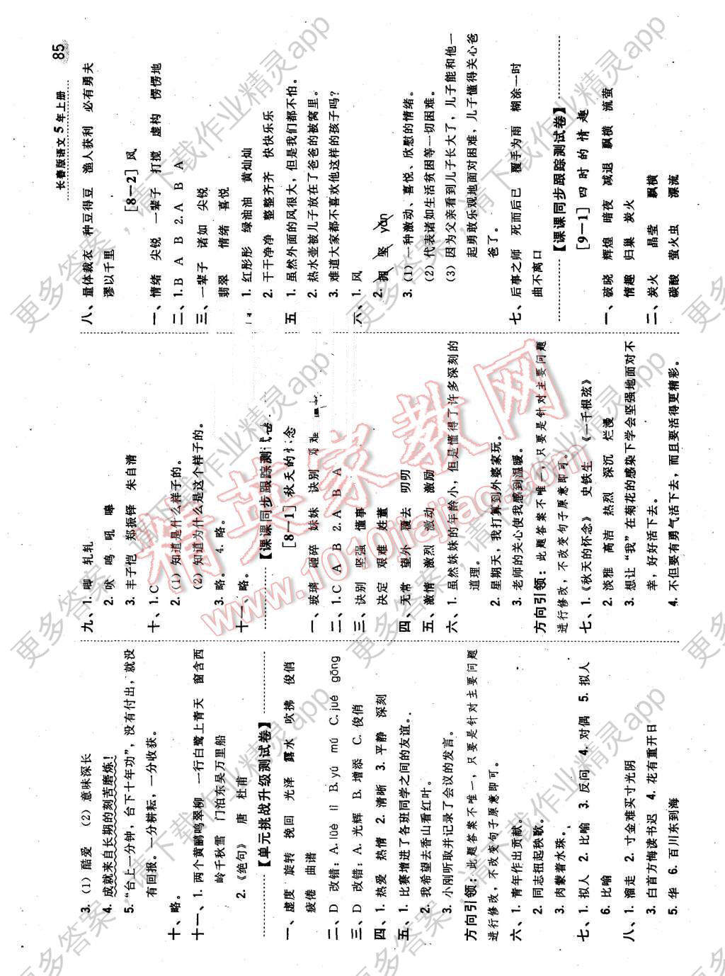 大红果子剥皮皮简谱_煎饼果子图片(2)