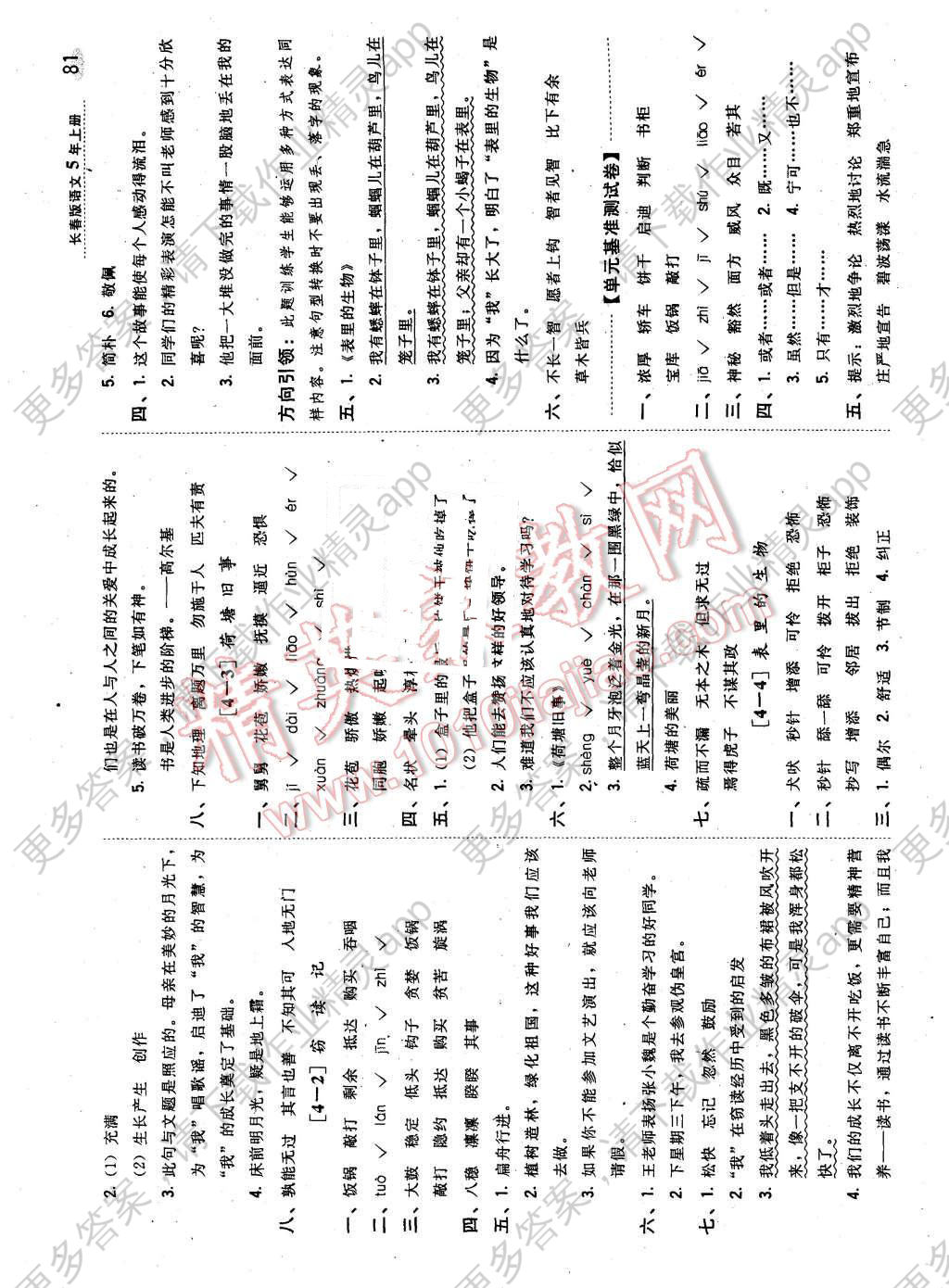 大红果子剥皮皮简谱_煎饼果子图片