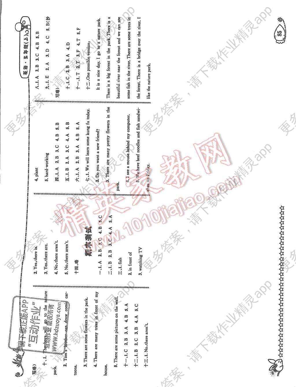 英国人口优化_英国人口发展变化图片