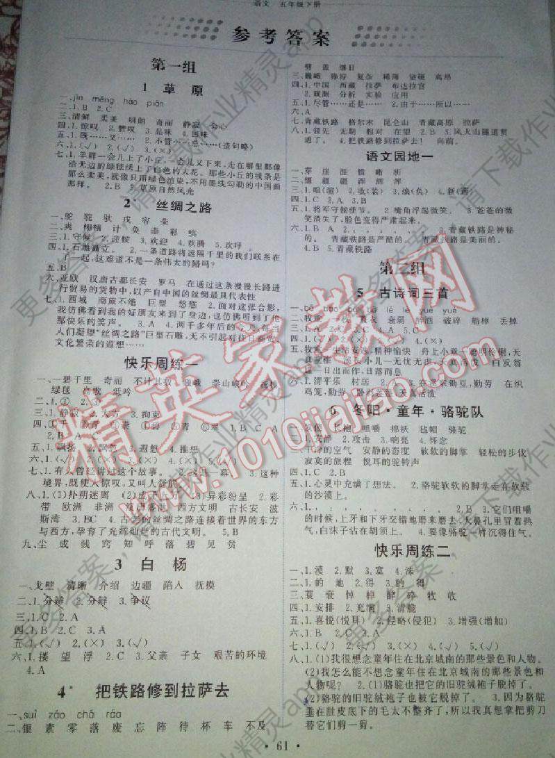 作业精灵