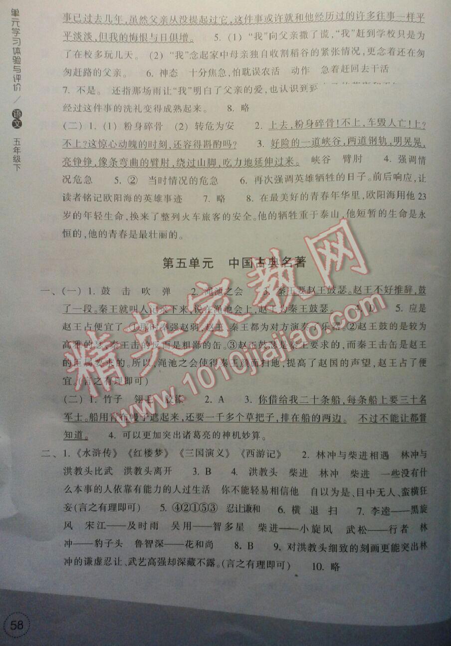 2016年单元学习体验与评价五年级语文下册答案精英家教网