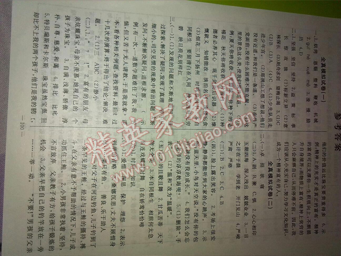 2016年小学毕业升学总复习全真模拟试卷语文答案精英家教网