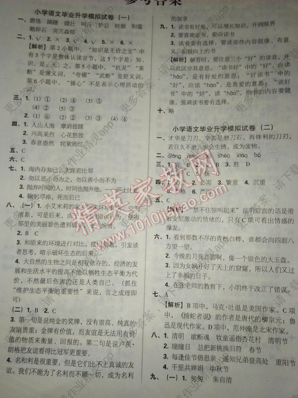 6851b31d-9d11-49ab-b895-519527bfbab9.jpg@!download