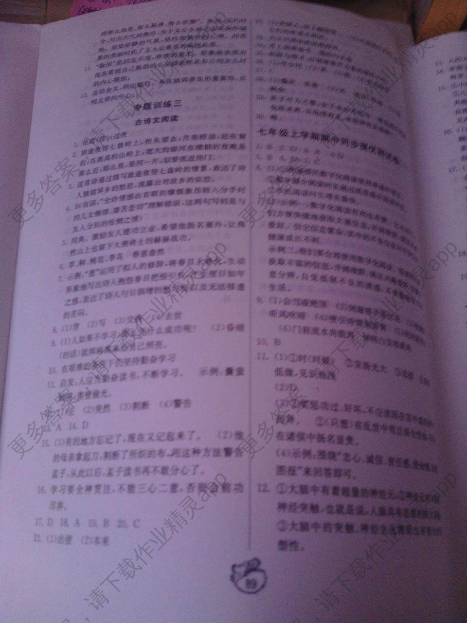 0e7ad635-8c57-478b-b1ec-946e0d1099bd.jpg@!download