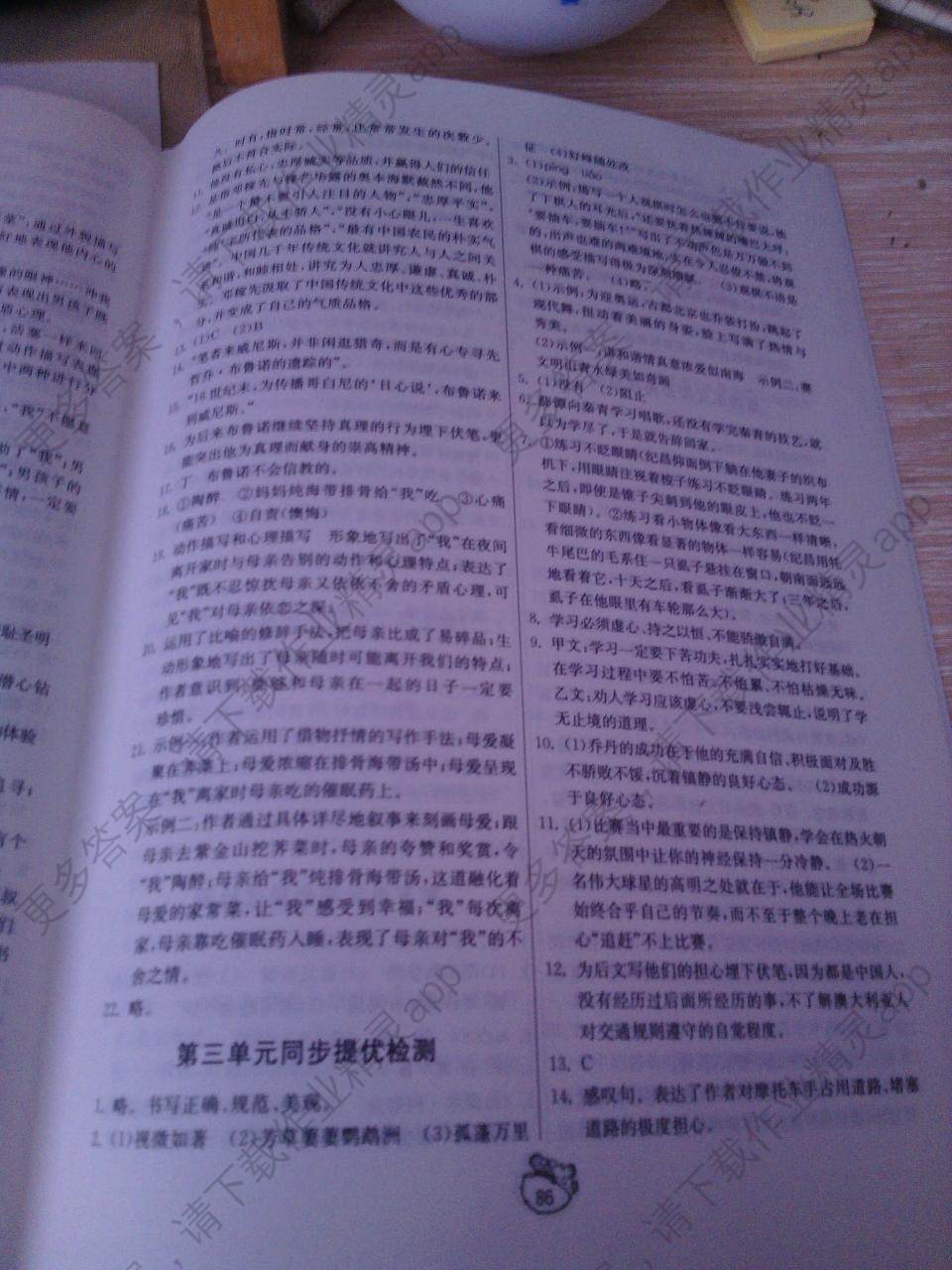 bc4e2866-0a05-4a0a-b466-a266a332e049.jpg@!download