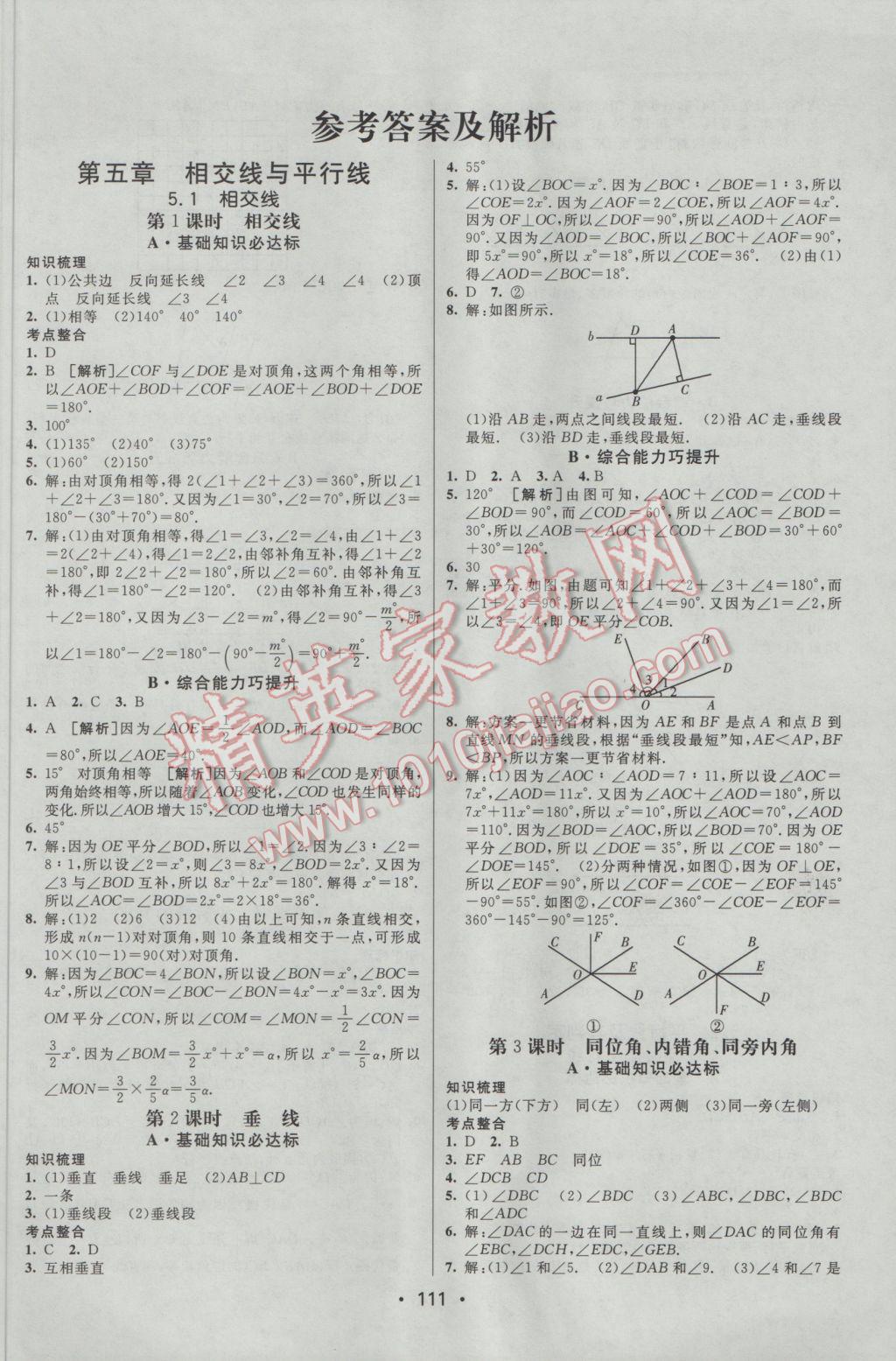 2017年同行学案学练测七年级数学下册人教版 参考答案第1页