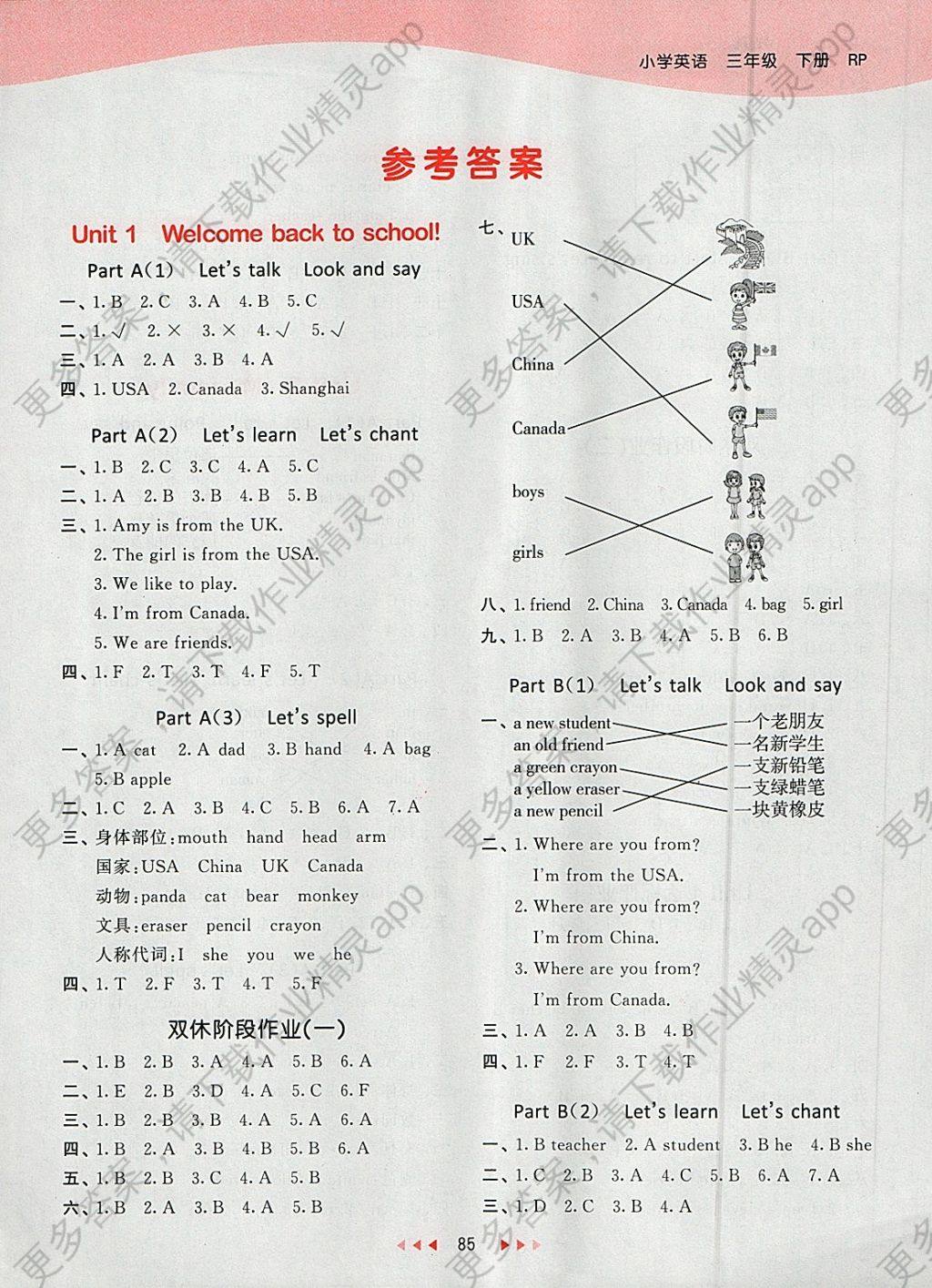 小学三年级英语报纸下册全部的答案(小学三年级英语报纸下册全部的答案是什么)