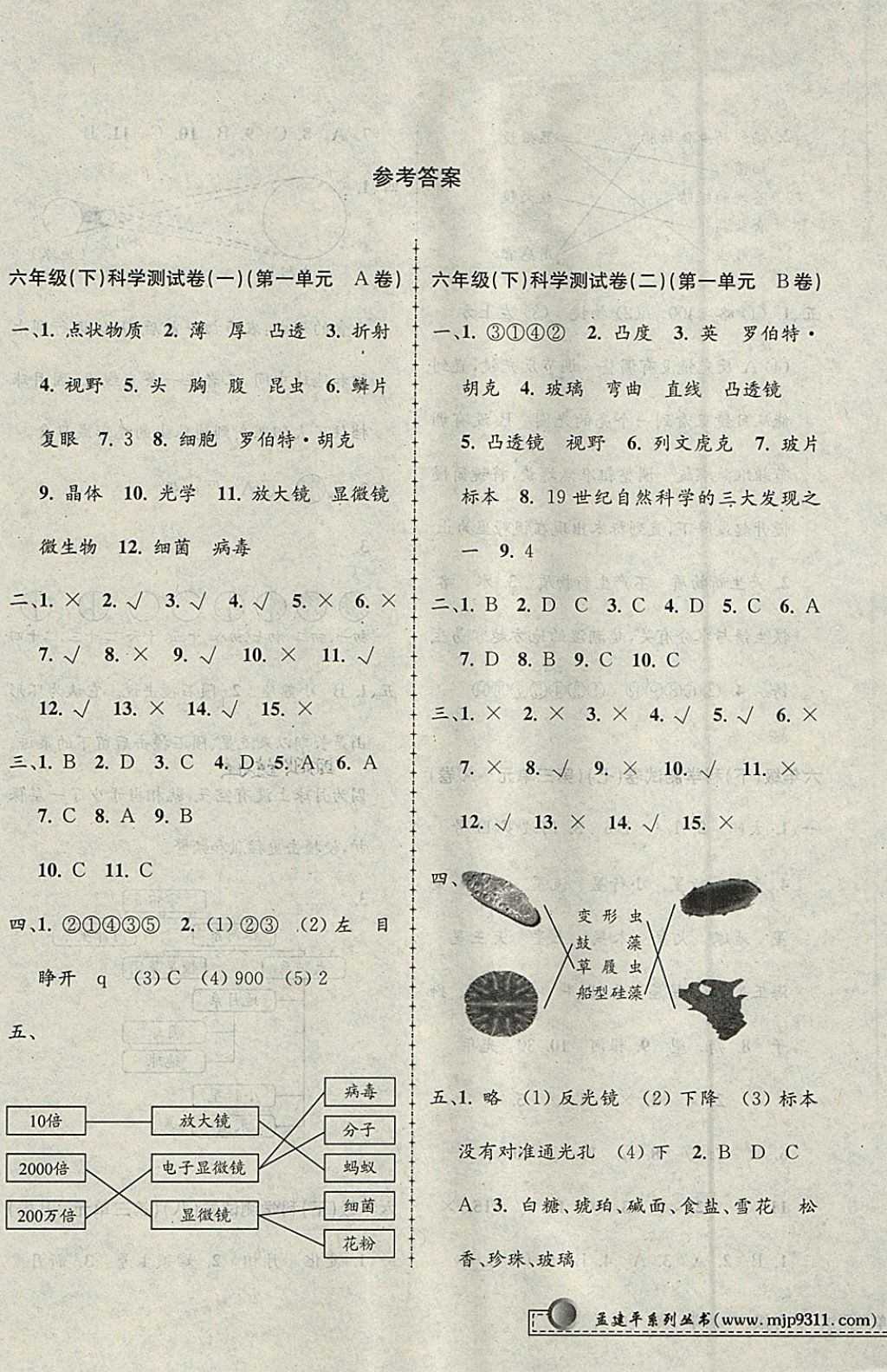 2018年孟建平小学单元测试六年级科学下册教科版答案