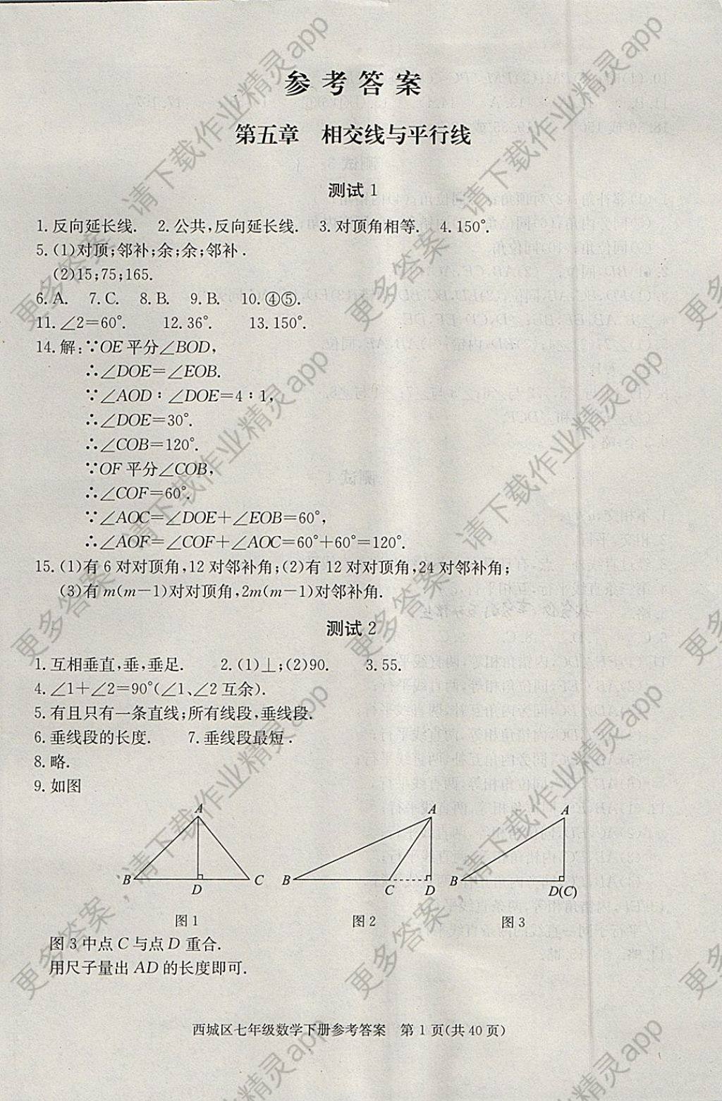 2018年学习探究诊断七年级数学下册答案—精英家教网