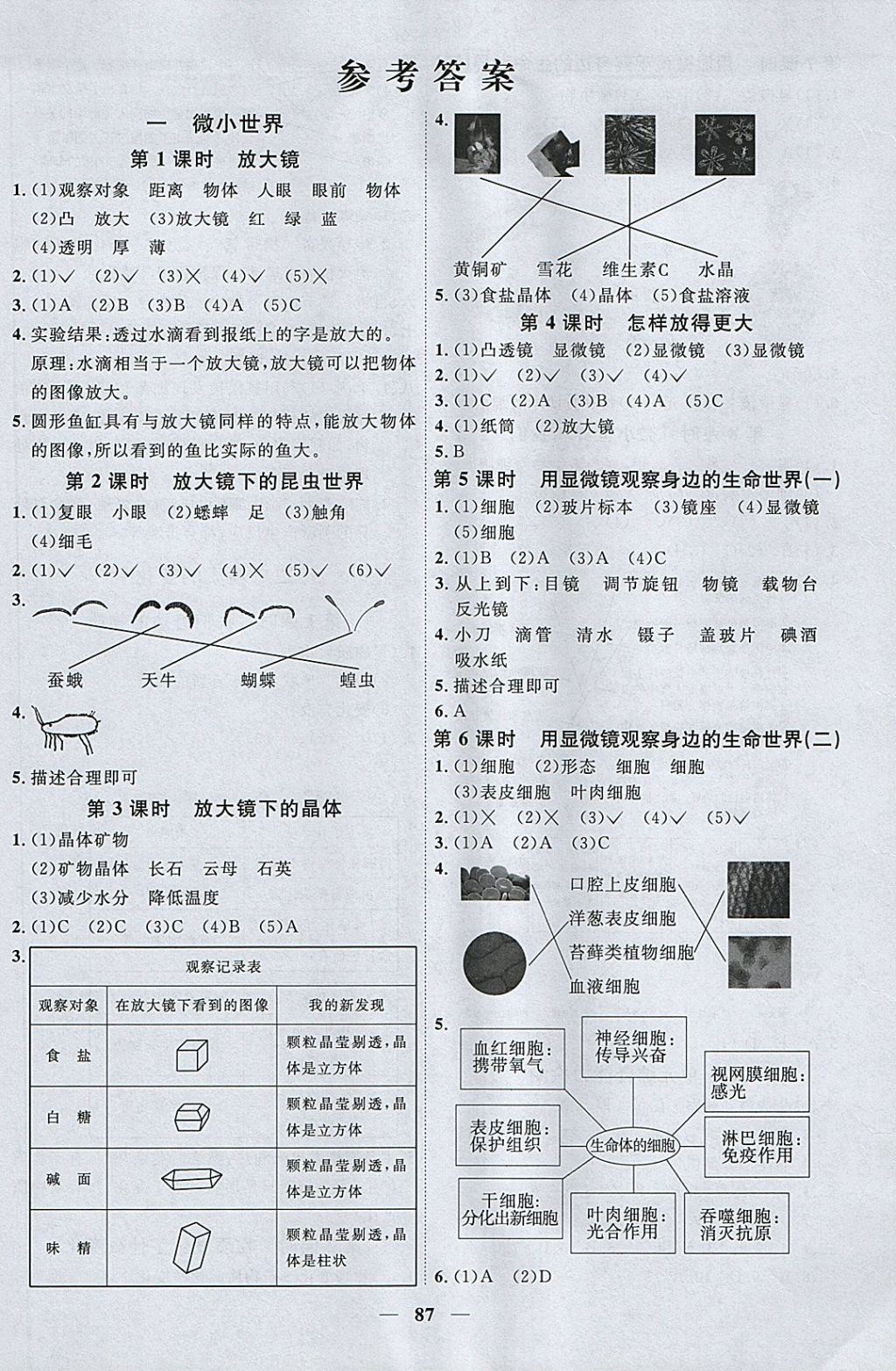 2018年阳光同学课时优化作业六年级科学下册教科版 参考答案第1页