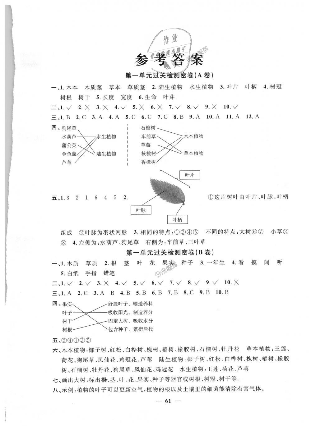 2021年阳光同学一线名师全优好卷三年级科学下册教科版第1页参考答案