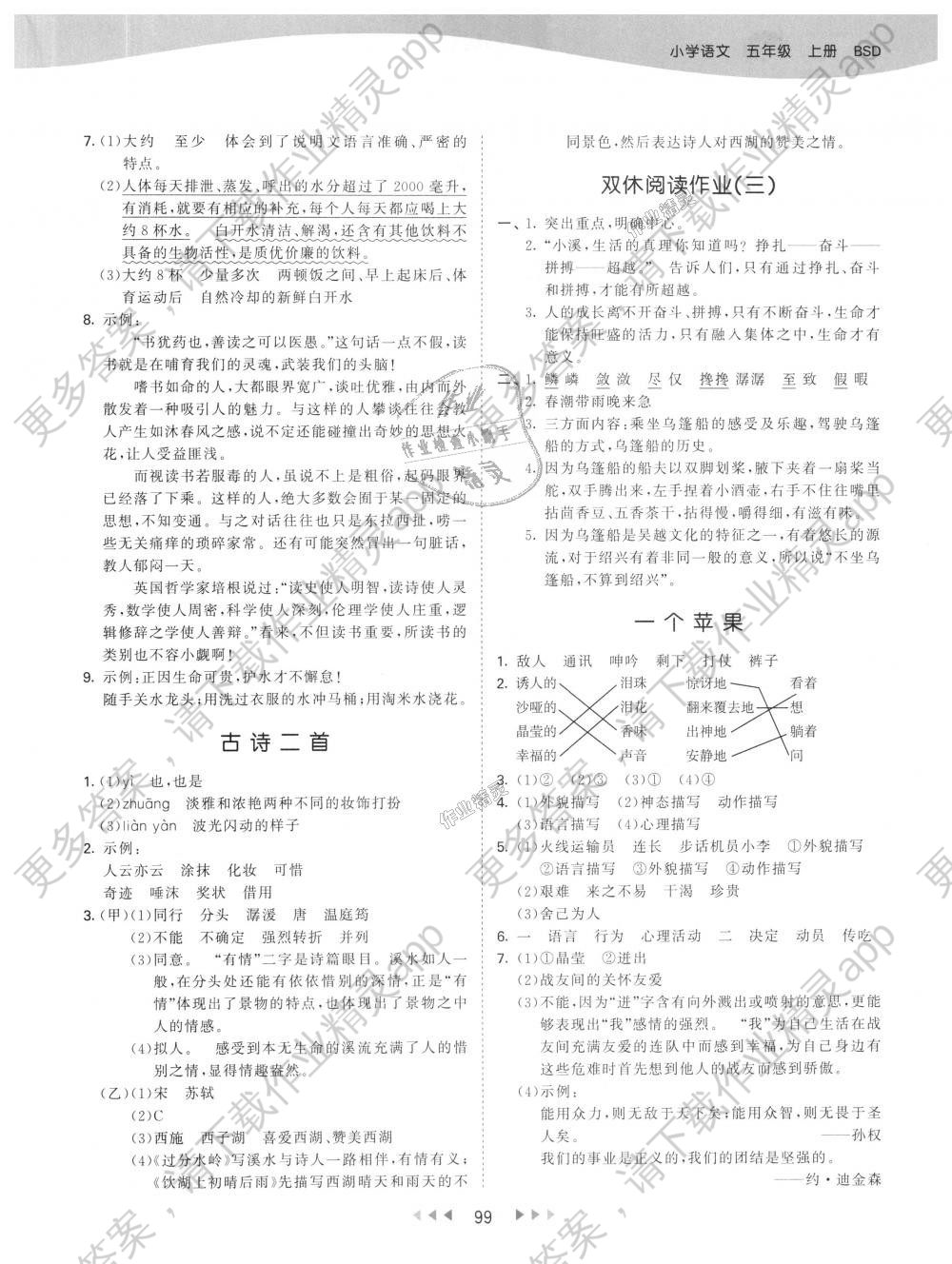 2018年53天天练小学语文五年级上册北师大版答案—精英家教网