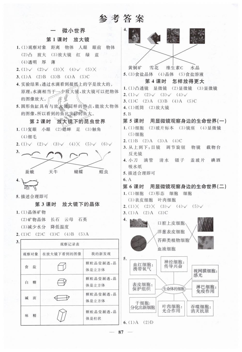 2019年阳光同学课时优化作业六年级科学下册教科版答案—青夏教育