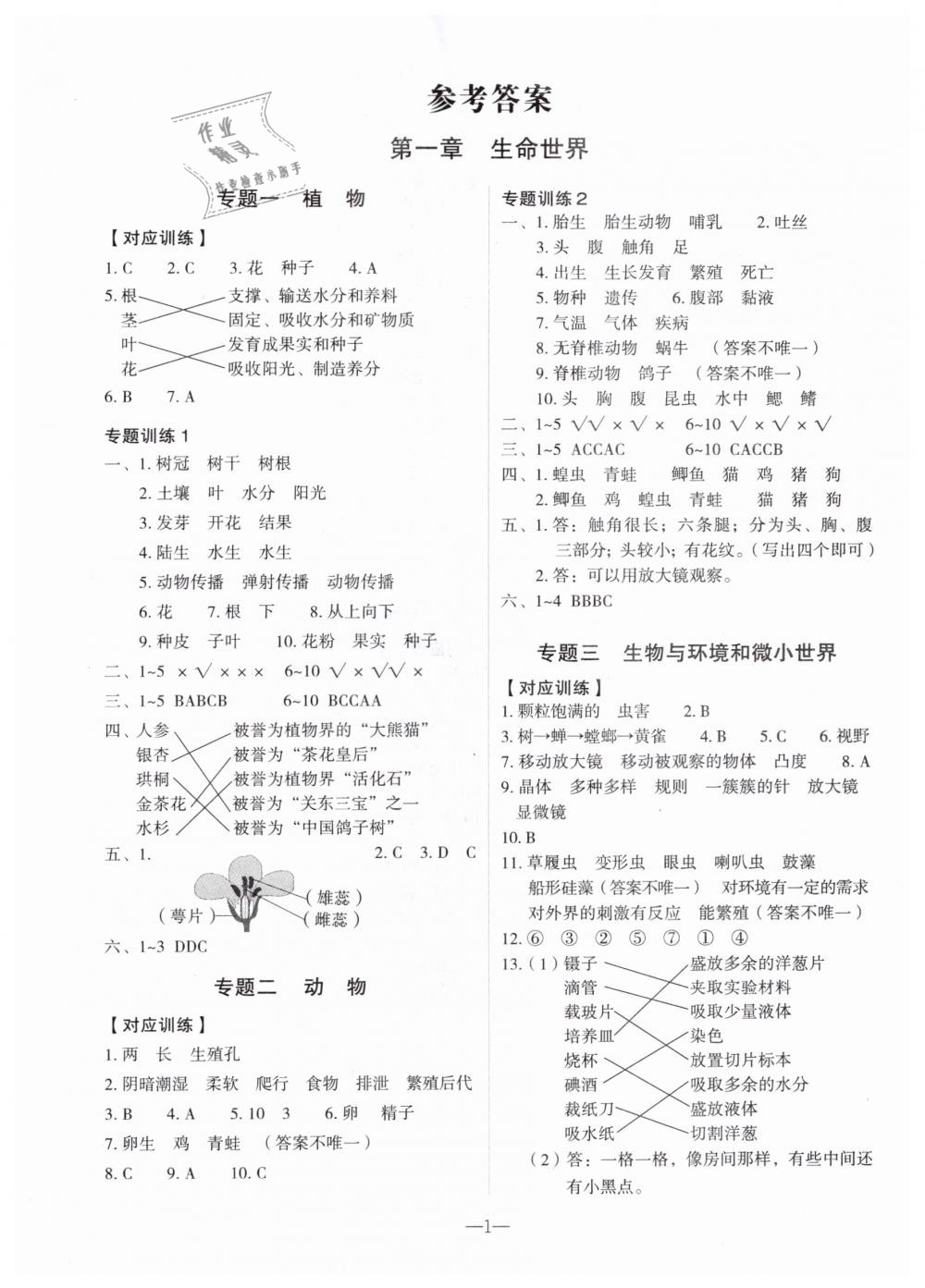 770ad46f32d757a1a0b4cf3f52cd4731.jpg