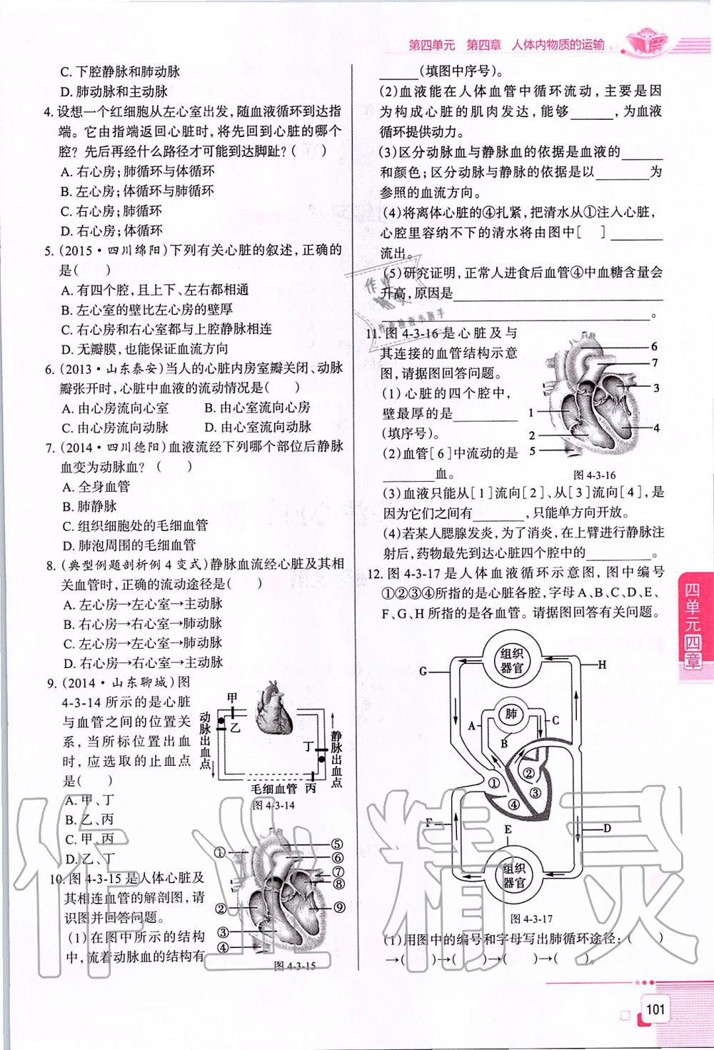 d7ba6280e392ff3a58cc404fda38808b.jpg
