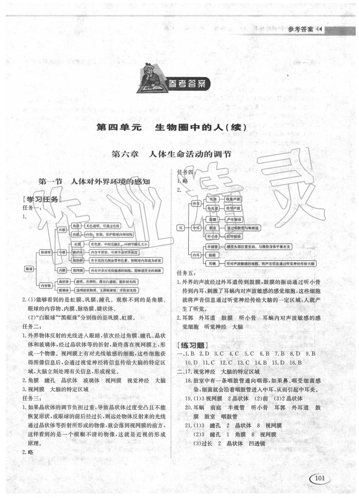 2020年初中伴你学习新课程七年级生物下册鲁科版五四制答案