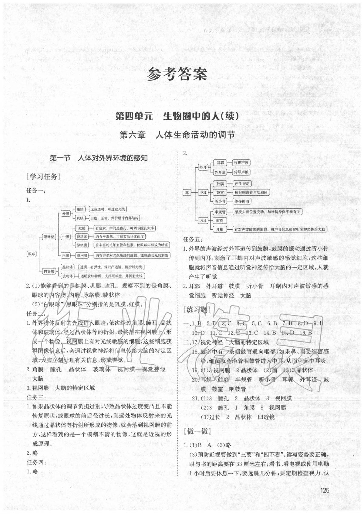 2020年初中伴你学习新课程七年级生物学下册鲁教版五四制区域专用答案