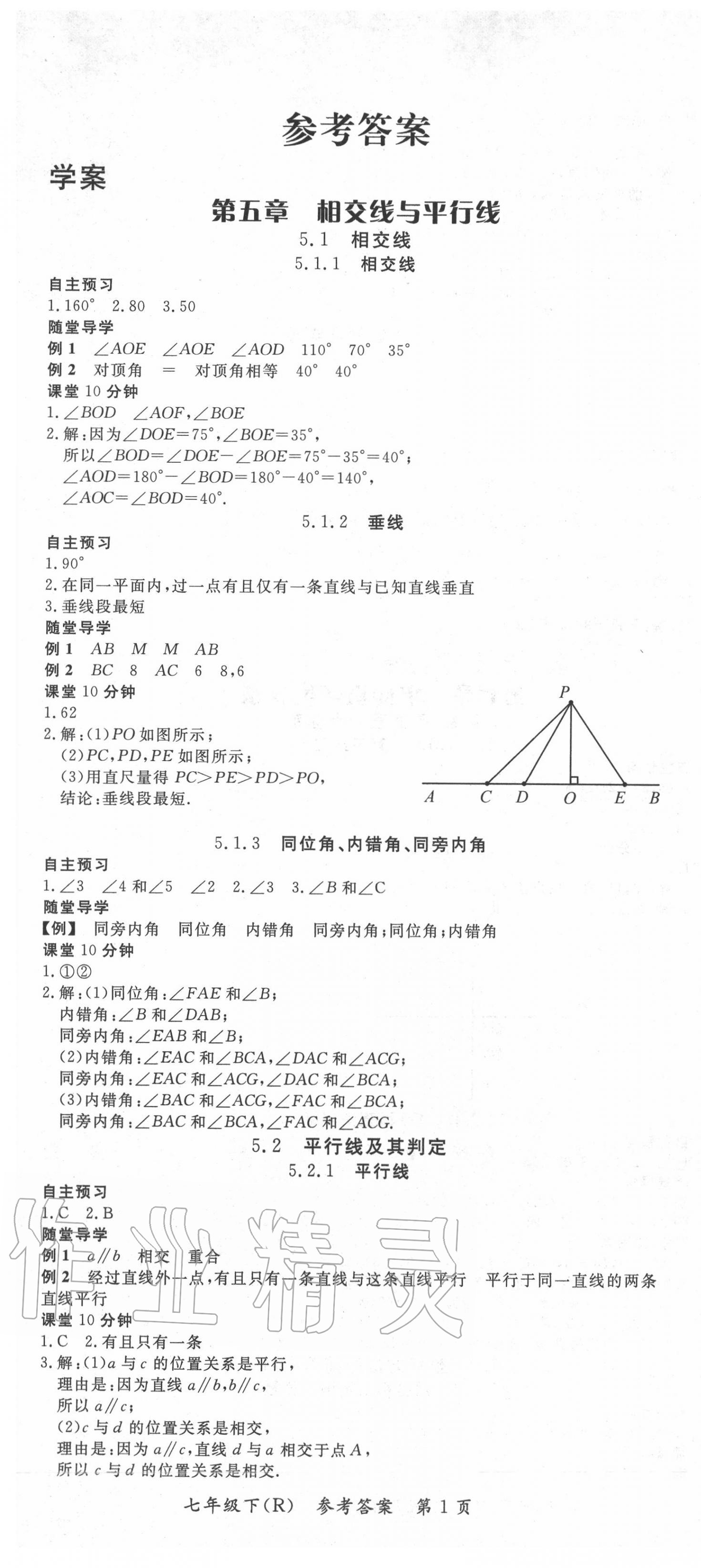 2020年名师点睛学练考七年级数学下册人教版 参考答案第1页