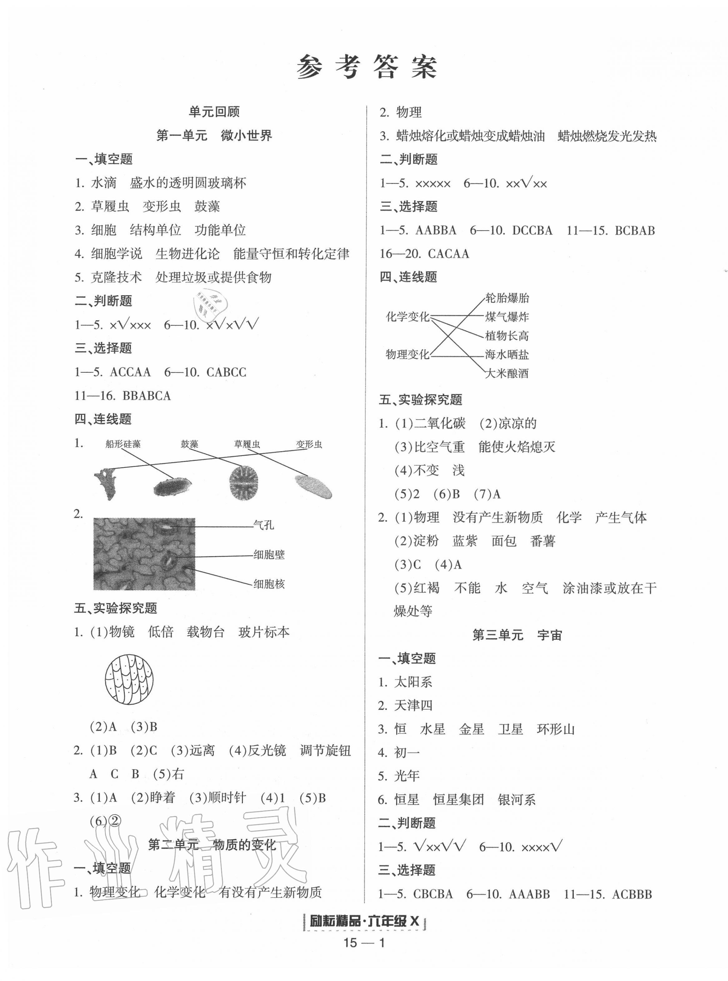 2020年励耘书业浙江新期末六年级科学下册教科版 第1页