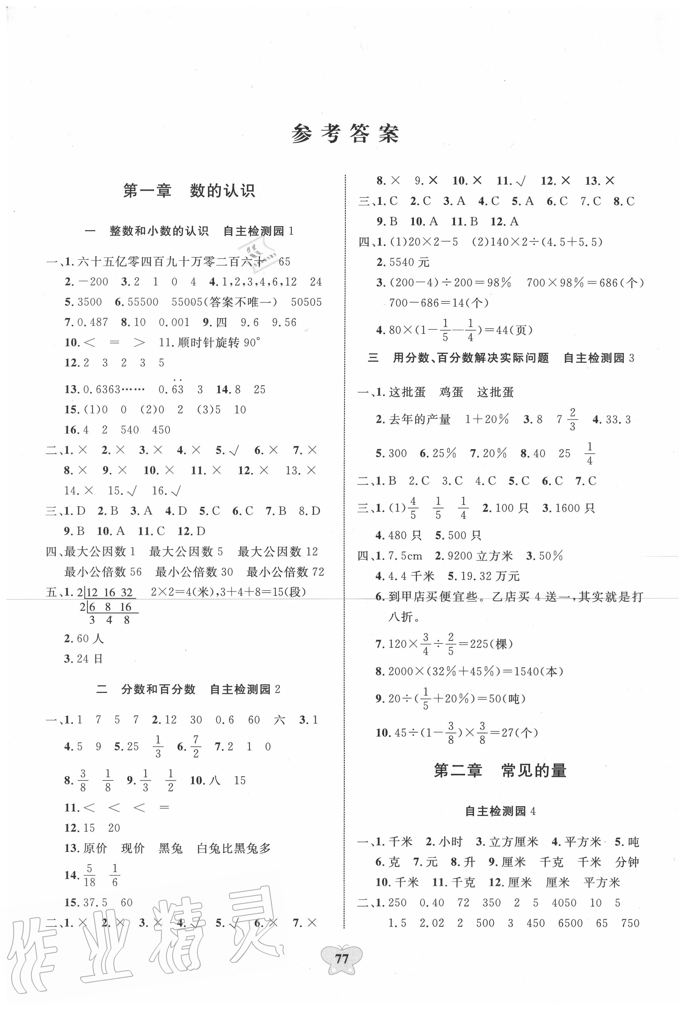 2020年小学知识总复习指导与检测数学b版