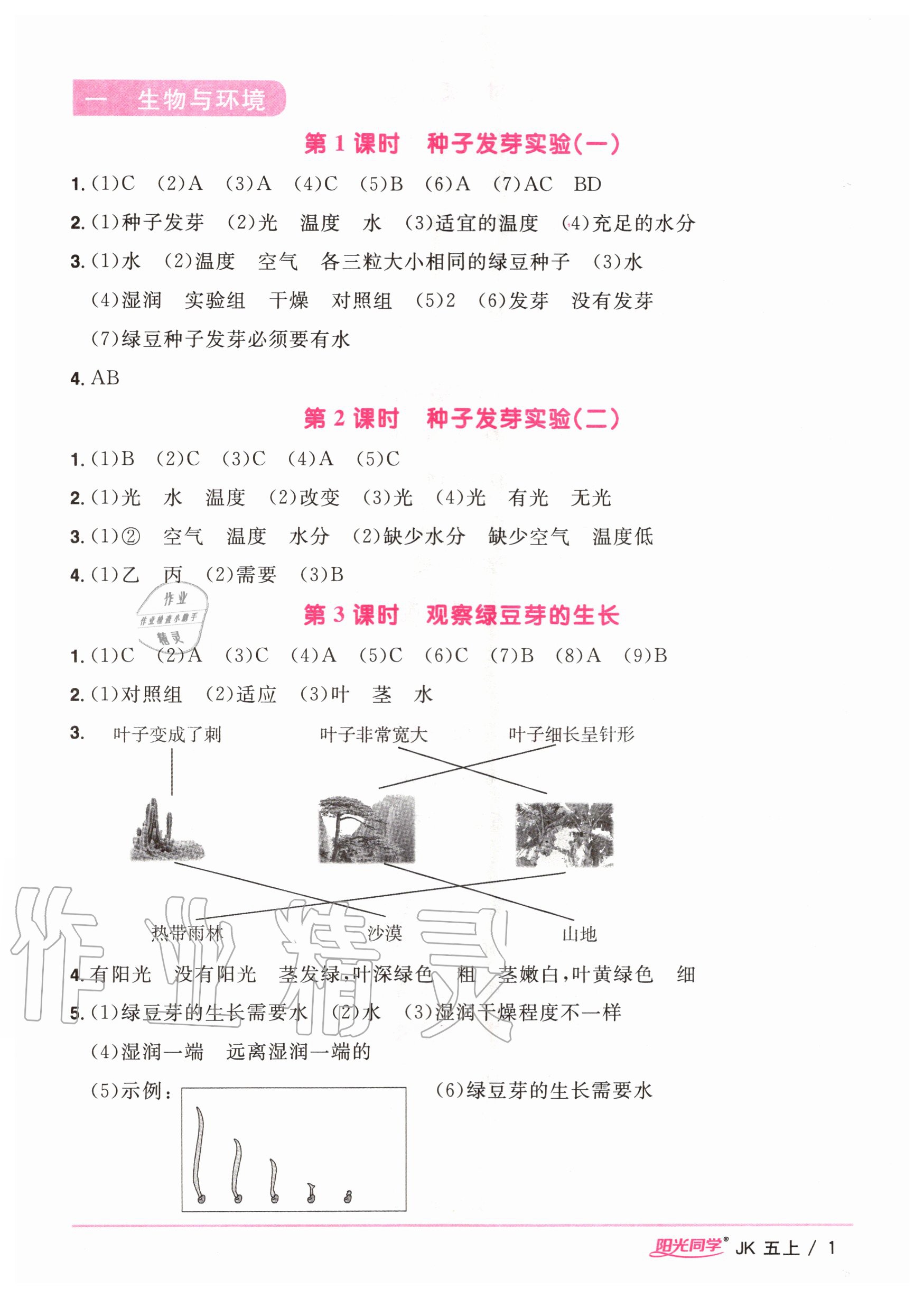 2022年阳光同学课时优化作业五年级科学下册教科版第1页参考答案