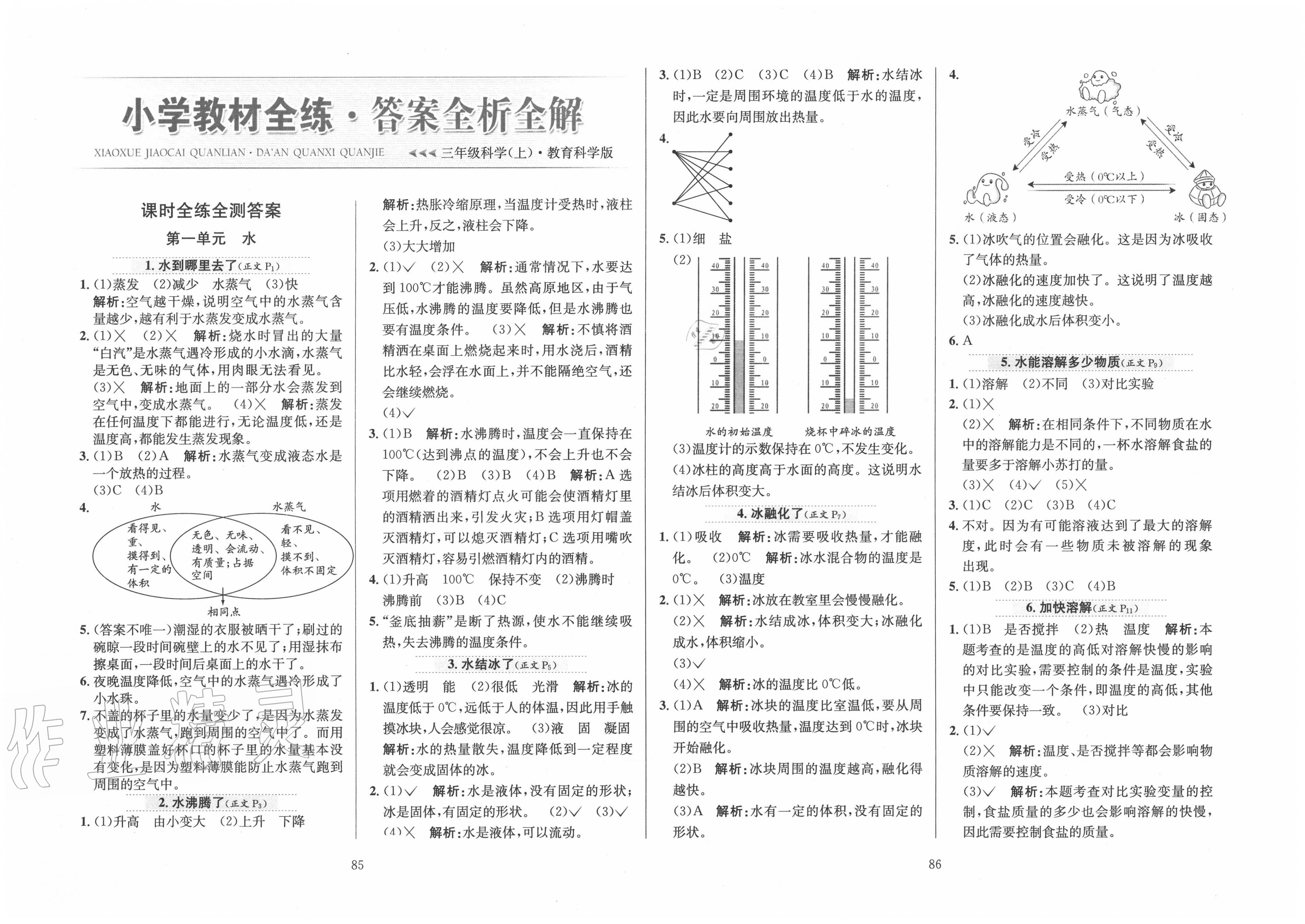 三年级上册科学 答案图片