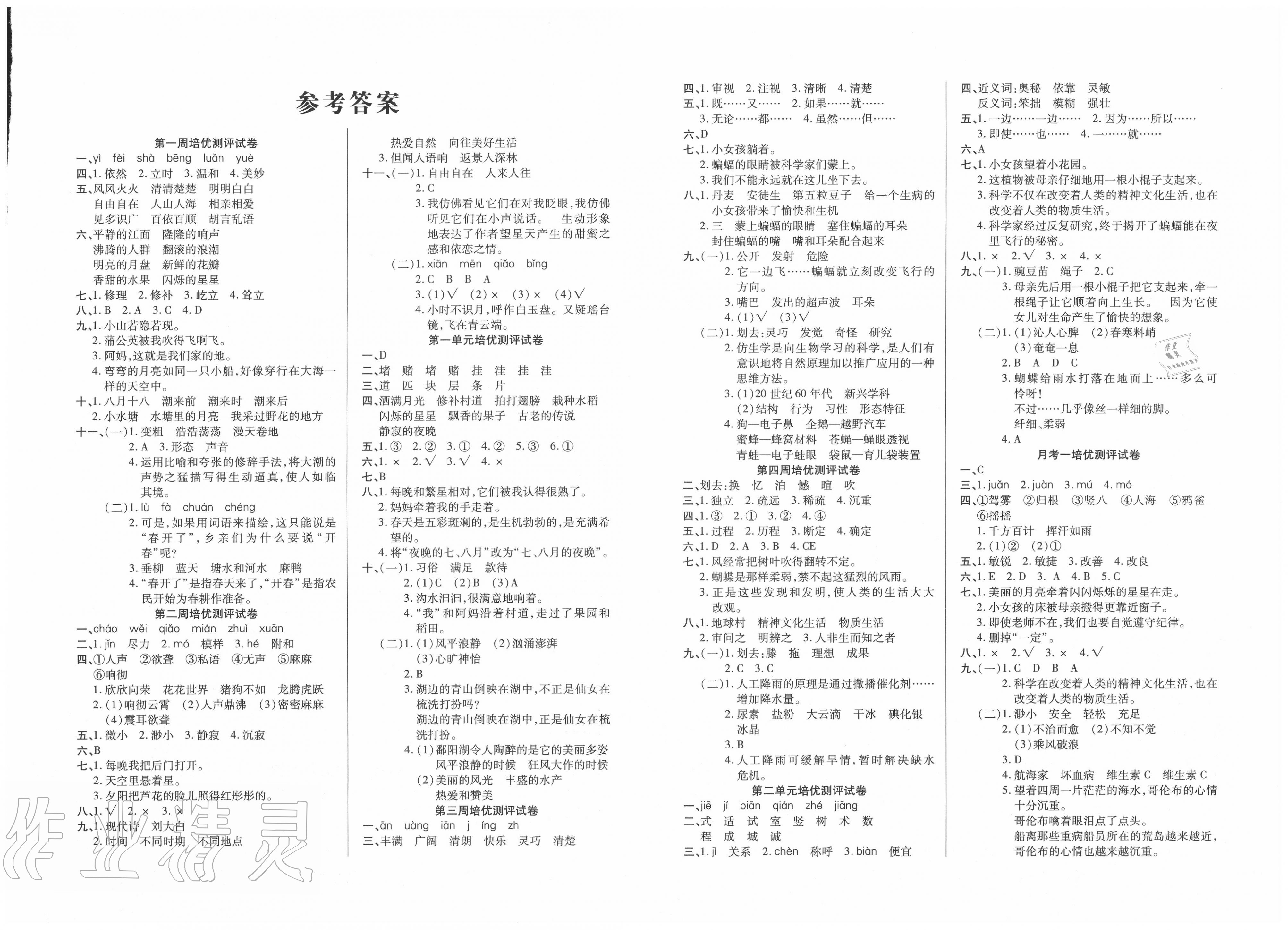 培优名卷四年级语文人教版a版所有年代上下册答案大全