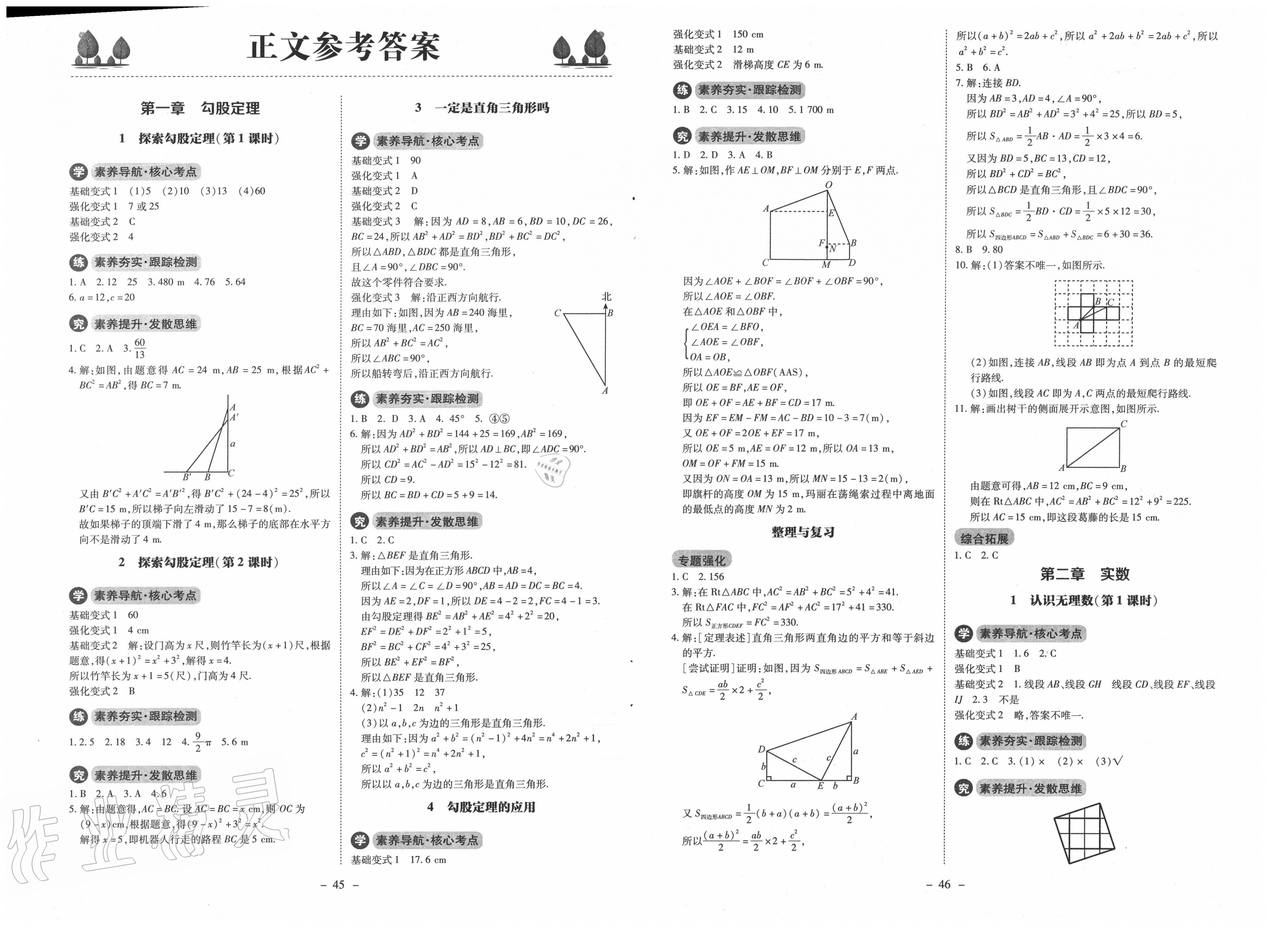 同步练习册八年级数学上册北师大版北京师范大学出版社答案——青夏