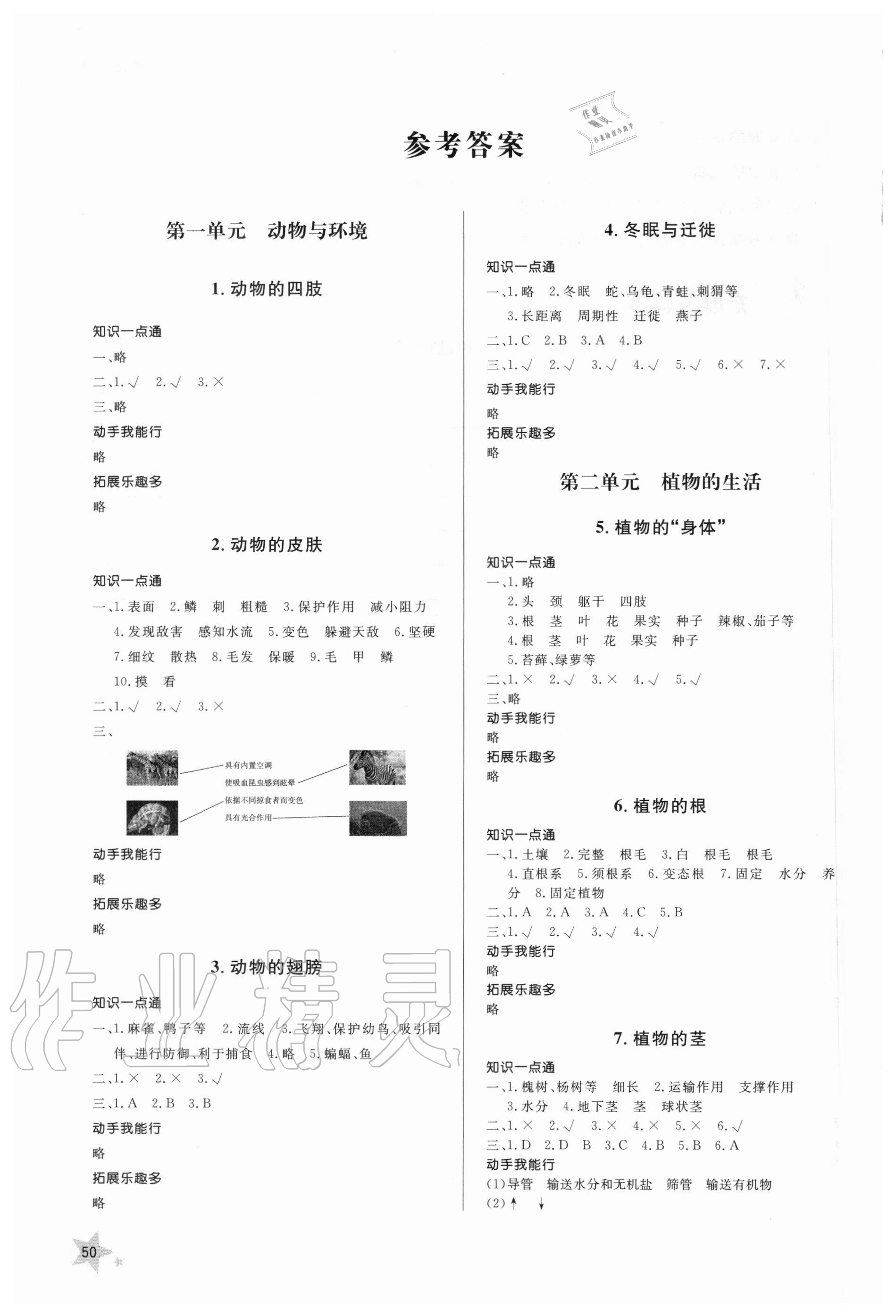 三年级上册科学 答案图片