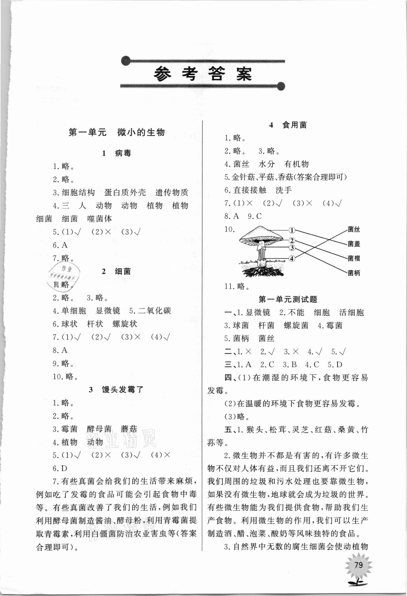 2020年小学科学同步练习六年级上册青岛版山东文艺出版社