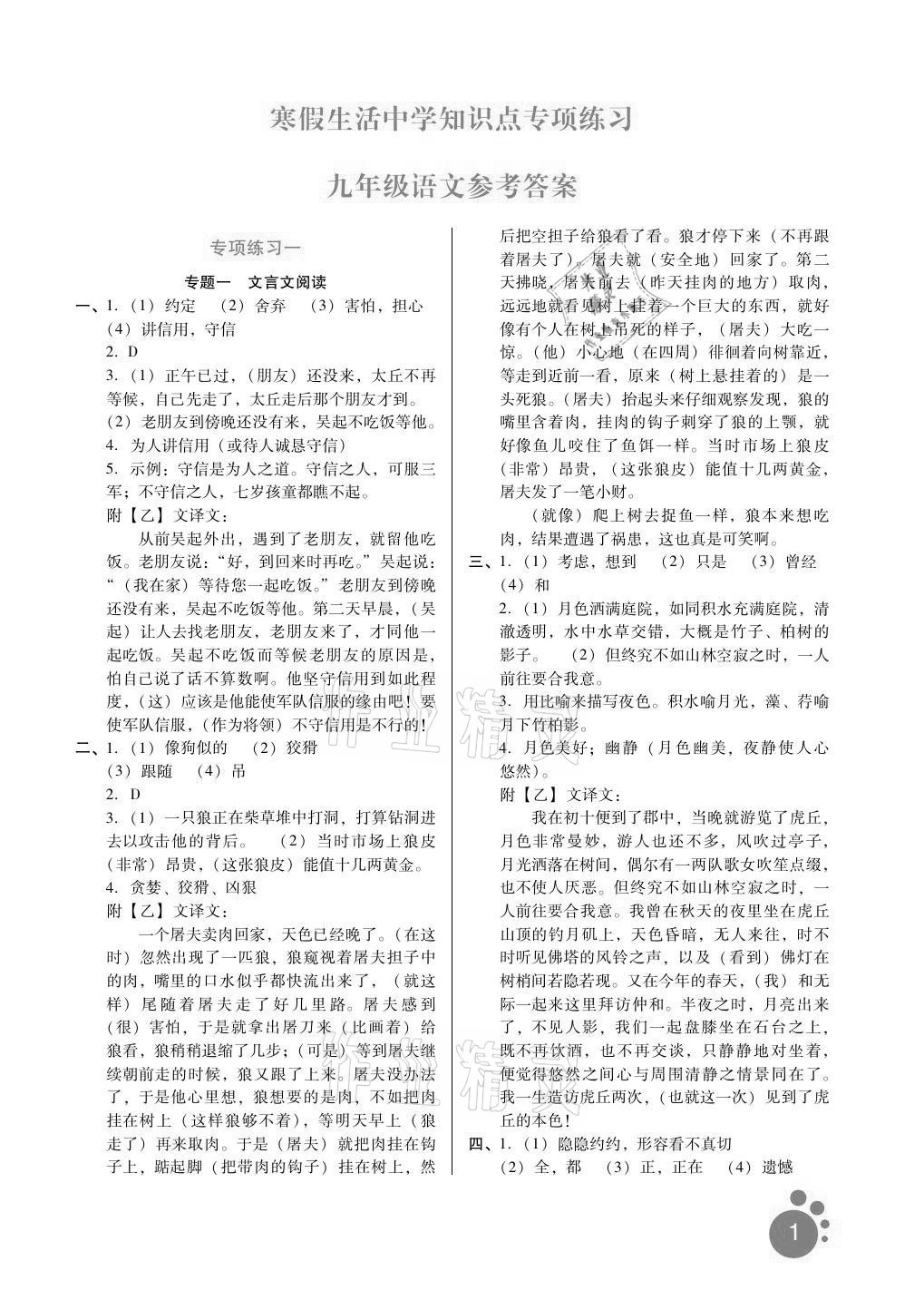 2021年寒假生活九年级语文中学知识点专项练习河北人民出版社&nbsp;第1页