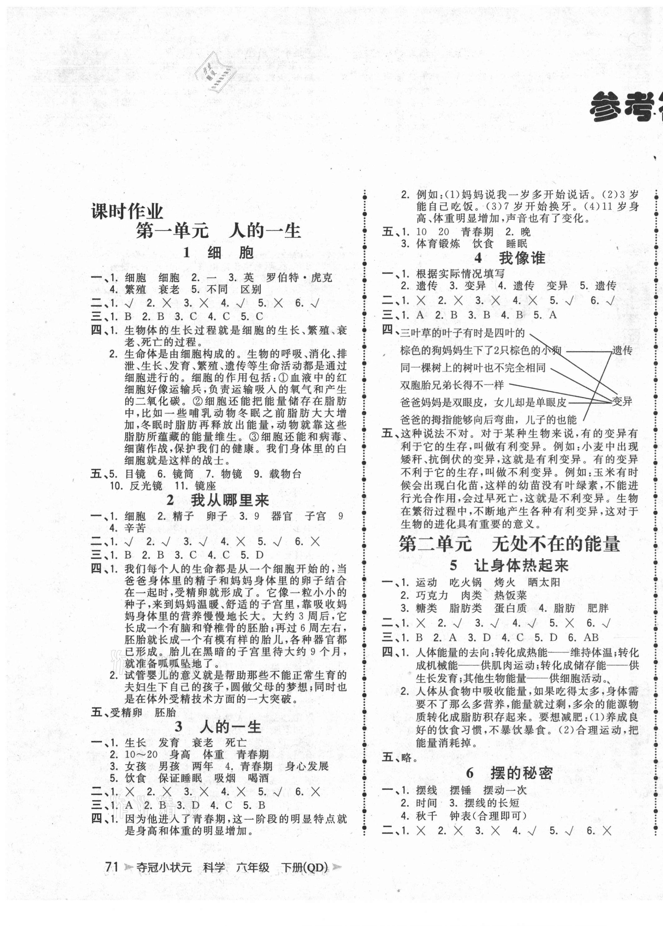2021年夺冠小状元课时作业本六年级科学下册青岛版答案
