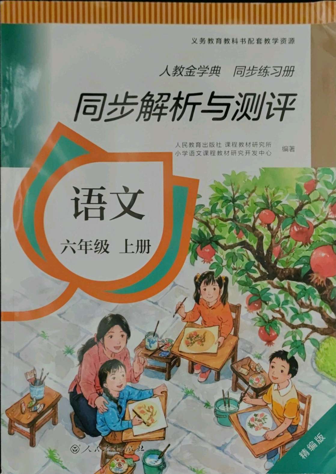 2021年人教金学典同步练习册同步解析与测评六年级语文上册人教版精编