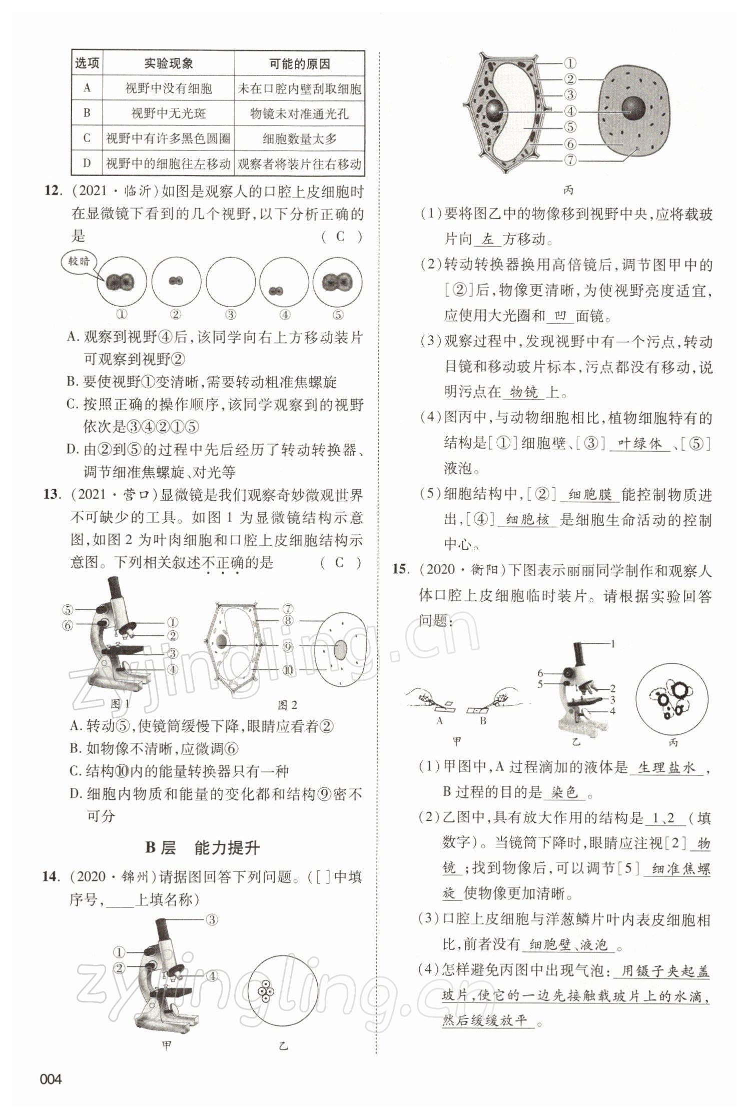 2022年中考状元生物北师大版&nbsp;参考答案第4页