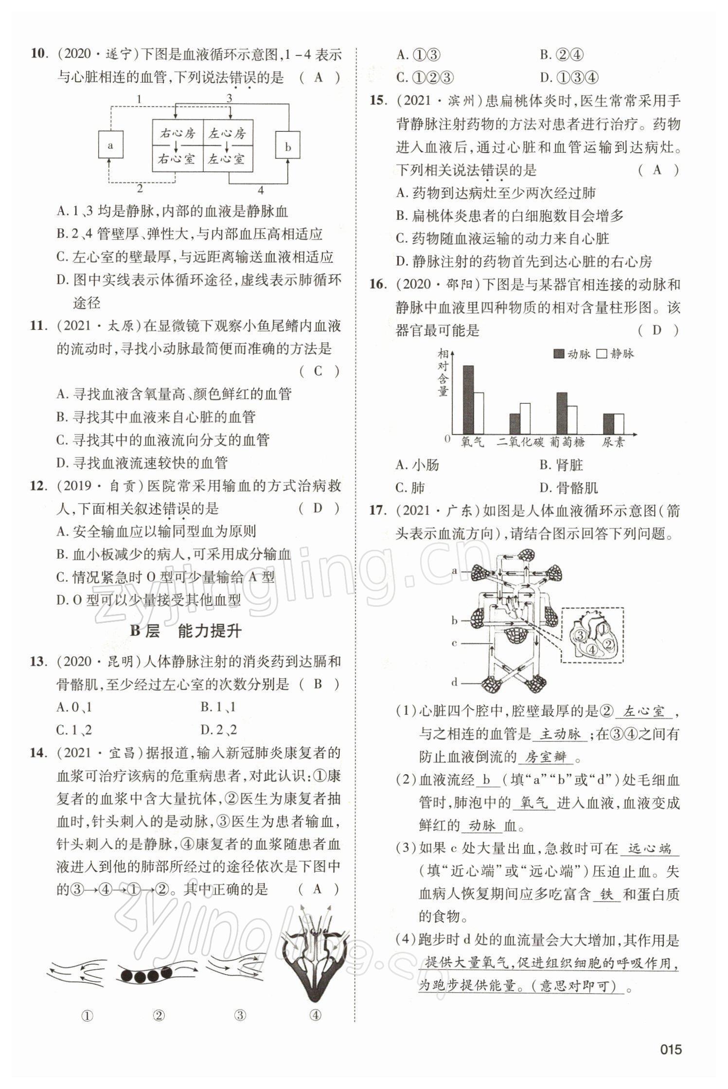 2022年中考状元生物北师大版&nbsp;参考答案第15页