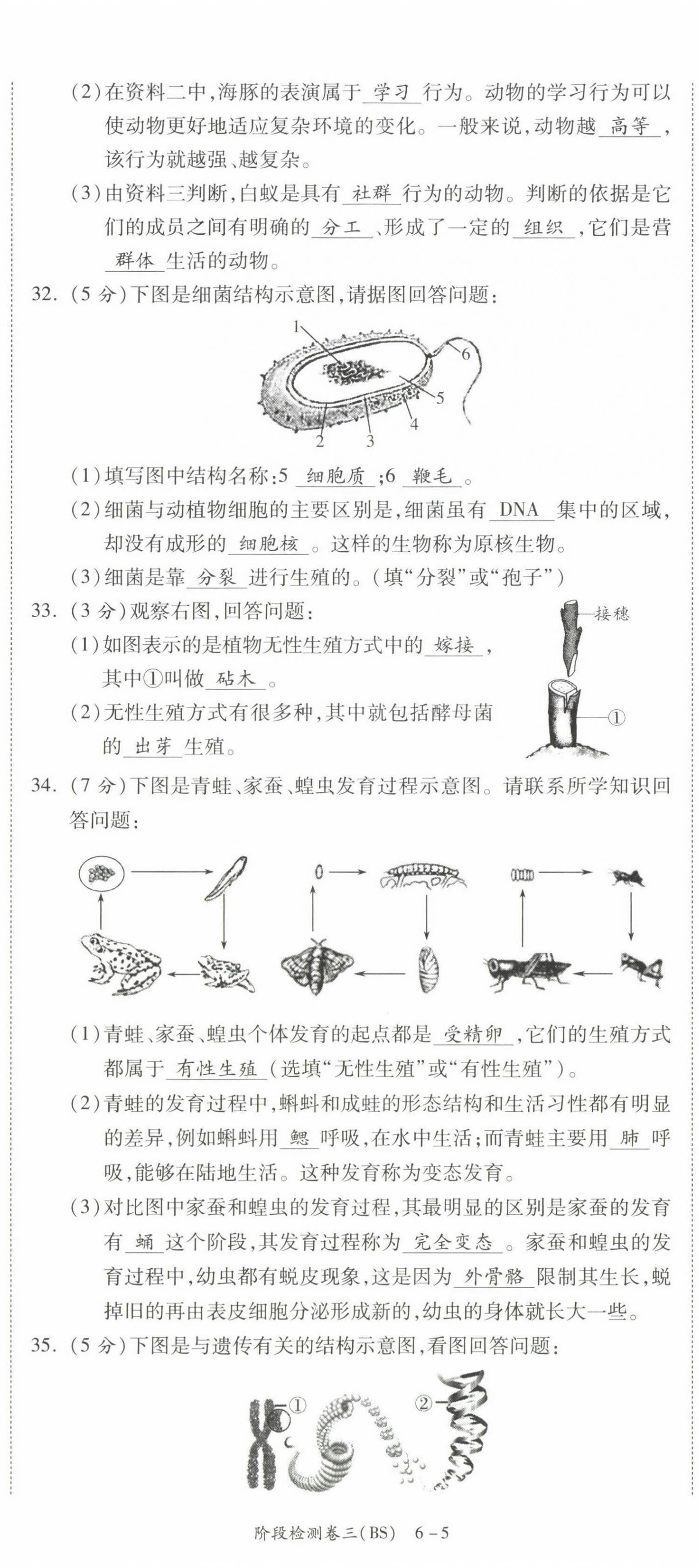 2022年中考状元生物北师大版&nbsp;第17页