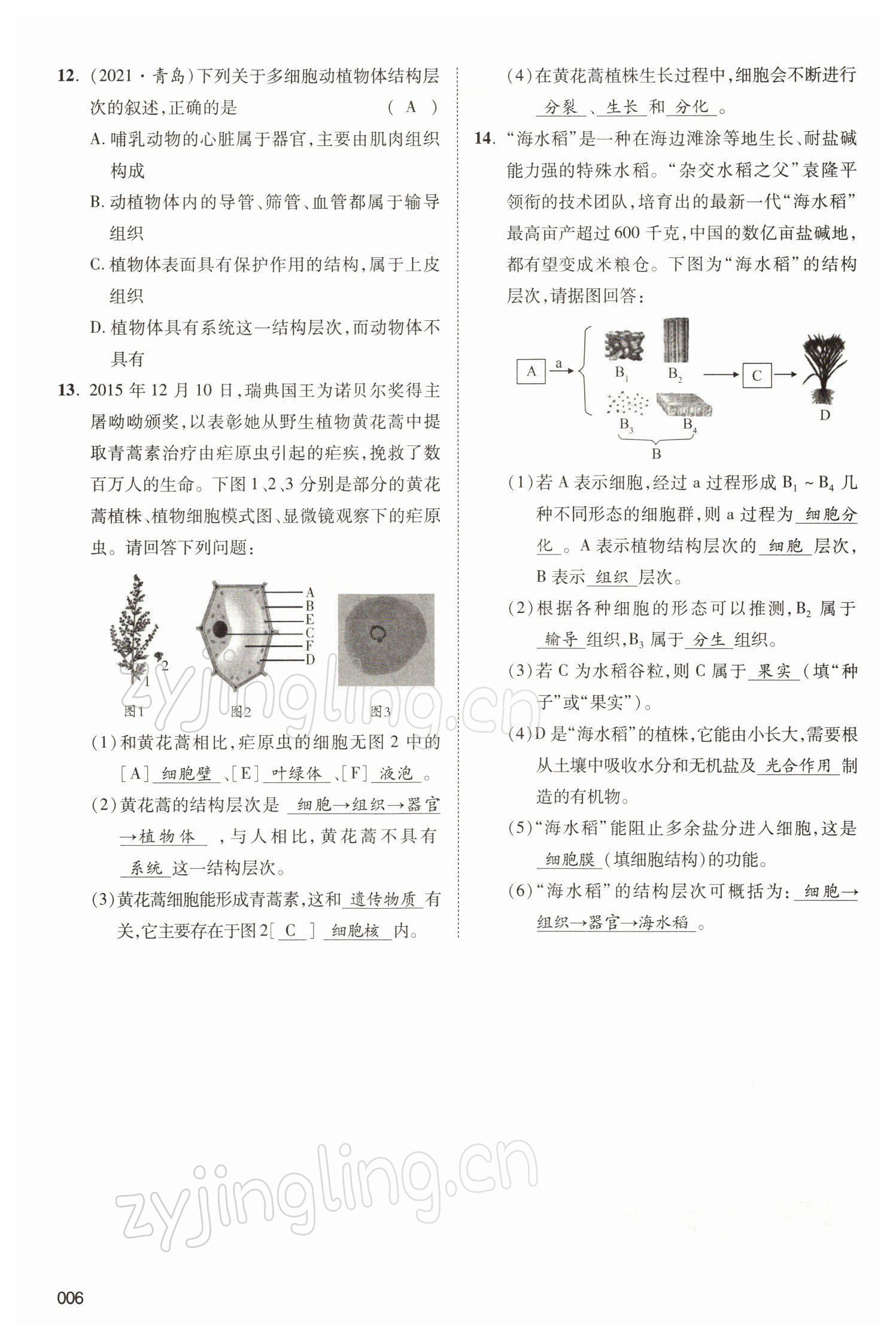 2022年中考状元生物北师大版&nbsp;参考答案第6页