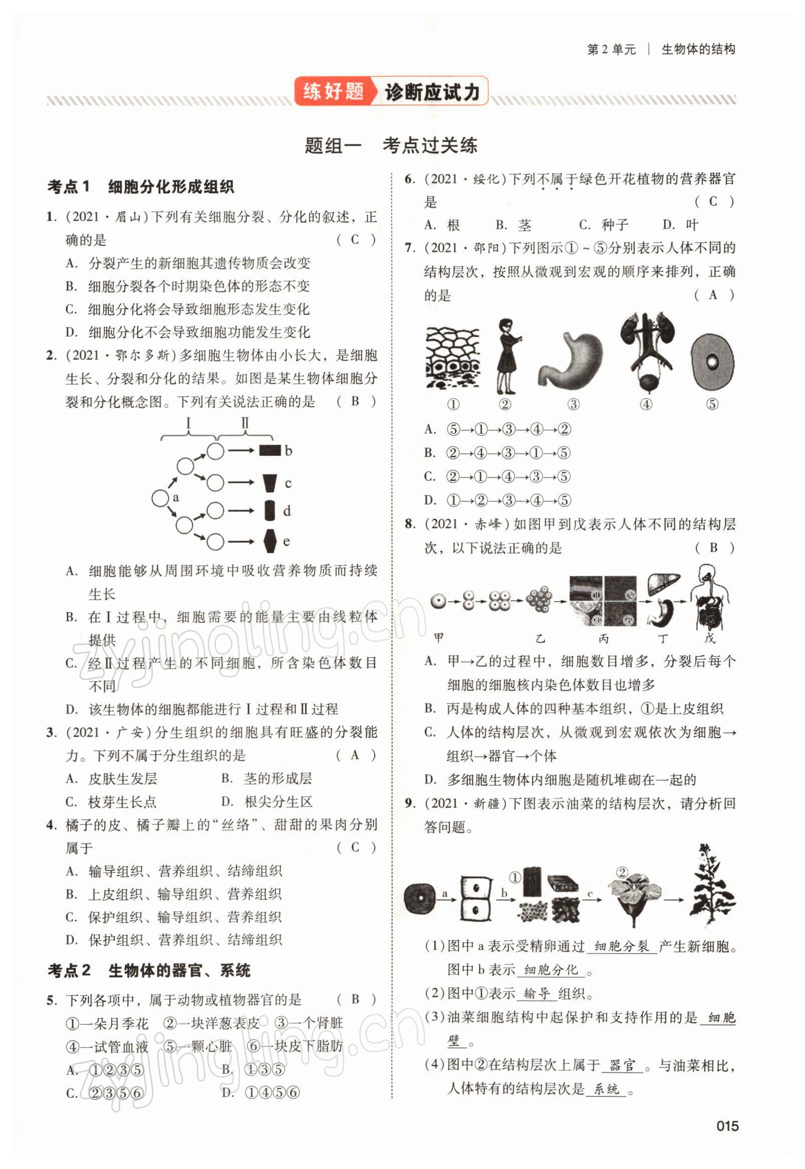 2022年中考状元生物北师大版&nbsp;参考答案第15页