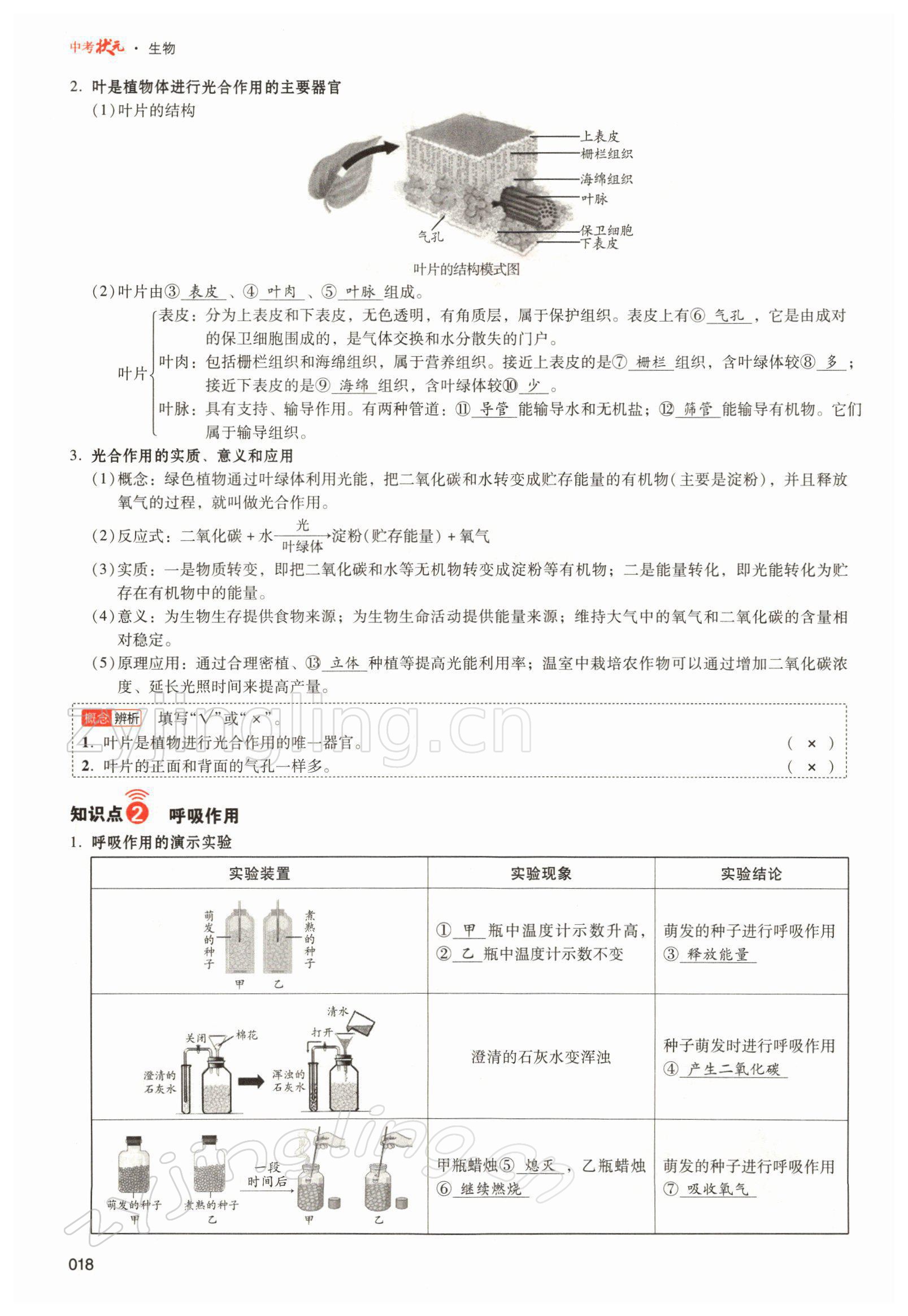 2022年中考状元生物北师大版&nbsp;参考答案第18页